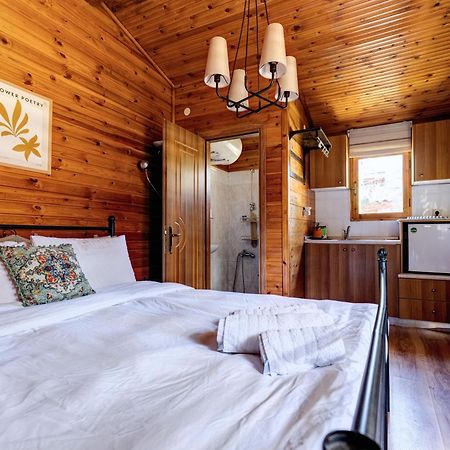 Chalet Parea Metamorfosi  Dış mekan fotoğraf