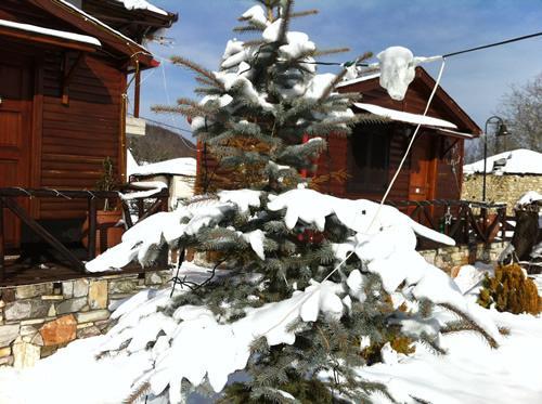 Chalet Parea Metamorfosi  Dış mekan fotoğraf